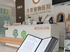 -丹景宠物医院·全科·老年病·牙科(武昌诊疗中心)