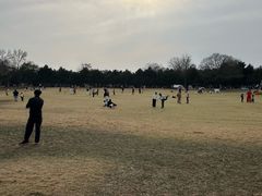 -石家庄市植物园