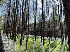 -岳麓山风景名胜区