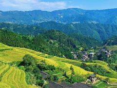 -龙脊梯田
