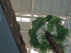 -天山海世界