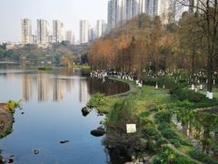 -重庆彩云湖湿地公园