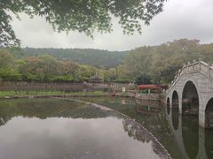 -旺山景区
