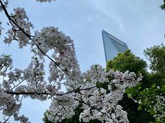 -陆家嘴中心绿地