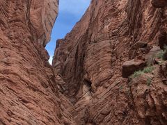 -天山神秘大峡谷