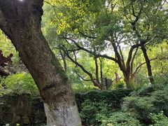 -城隍阁