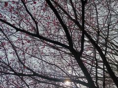 -南京珍珠泉风景区