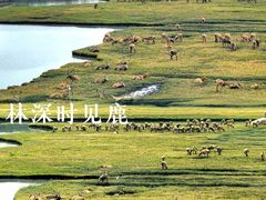 -溱湖国家湿地公园