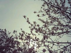 -曲阜师范大学(曲阜校区)