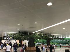 -杭州萧山国际机场