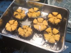 -潮庭·大连海鲜·炭火烧烤·扇贝王(大连店)