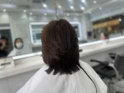 -镁连社·美联社