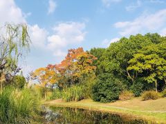 -长广溪湿地公园