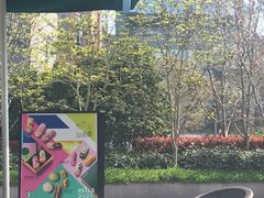 -星巴克(西藏路店)