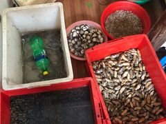 -大树下饭店(春晓镇慈岙社区卫生服务站南)