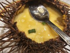 蒸海胆-万宝海鲜舫(劳动公园店)