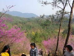-天台山赤城山景区