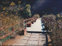 景点-蒋氏故居