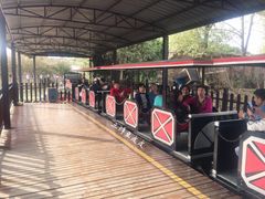 游乐设施-武汉紫薇都市田园