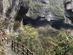 -鹿院坪生态旅游景区