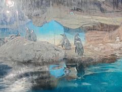-海合安武汉极地海洋公园