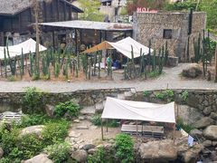 -MOJ coffee(瓯海泽雅水碓坑店)