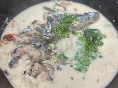 -鲜潭蒸汽石锅鱼(五道口购物中心店)