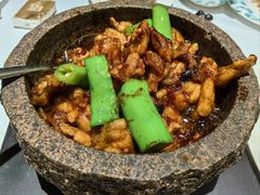 -桂满陇·海市蜃楼·黑金(国金店)