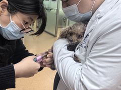 -宠颐生中康贝怡动物医院