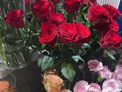 -谷莠子花艺·气球派对·绿植造景·花艺沙龙(金光华广场店)