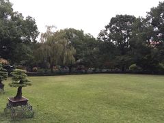 申粤轩-申粤轩酒楼·三十年粤菜经典(丁香花园店)