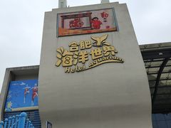 -合肥海洋世界