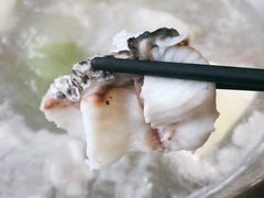 石斑鱼-丽江人家斑鱼火锅(保健路店)