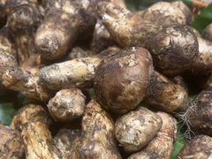 -黔蘑菇四季餐厅(观山湖店)