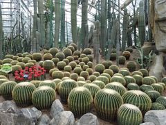 -南山植物园