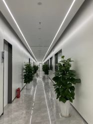 点击看大图 -悟空祛痘