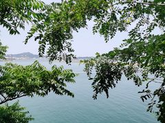-青岛海滨风景区