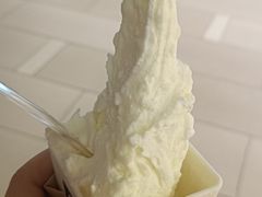 -野人先生现做冰淇淋(北京环宇荟店)