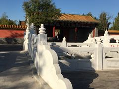 -武清南湖绿博园