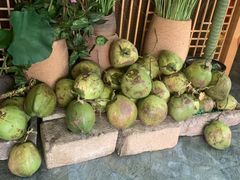 -探窝·竹笙椰子鸡(杨箕店)