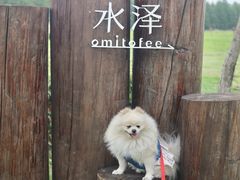 -omitofee咖啡(水泽店)