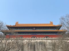 -梅花山(明孝陵内)