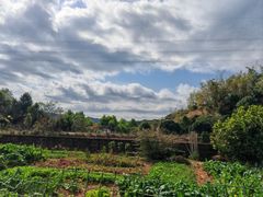 -广州市帽峰山景区