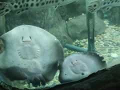 -苏州海洋馆