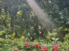 -白马涧龙池景区