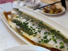 -大方圆酒楼(西门大街店)