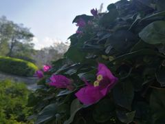 -龙江公园