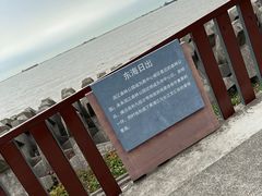 -上海滨江森林公园