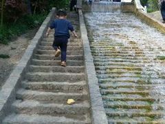 -祥源·阜阳生态乐园