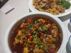 -新侨小馆(东直门北小街店)